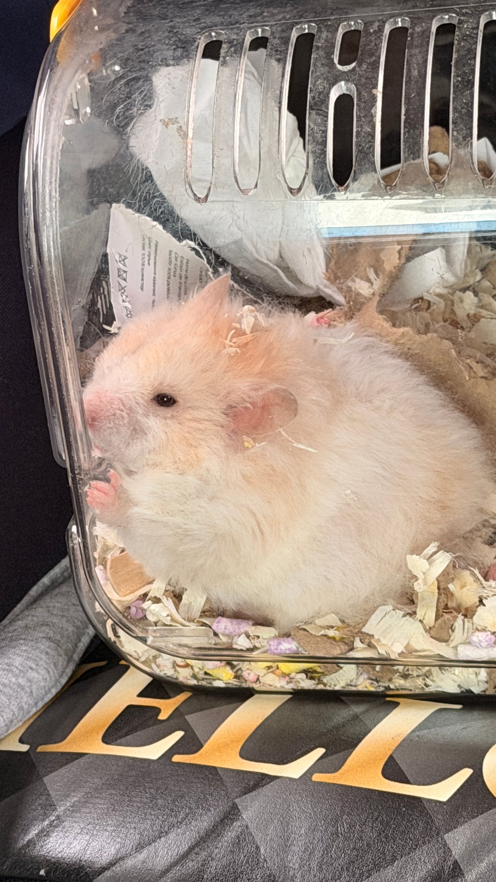感恩你们